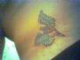 12/7/2004: il mio tatoo